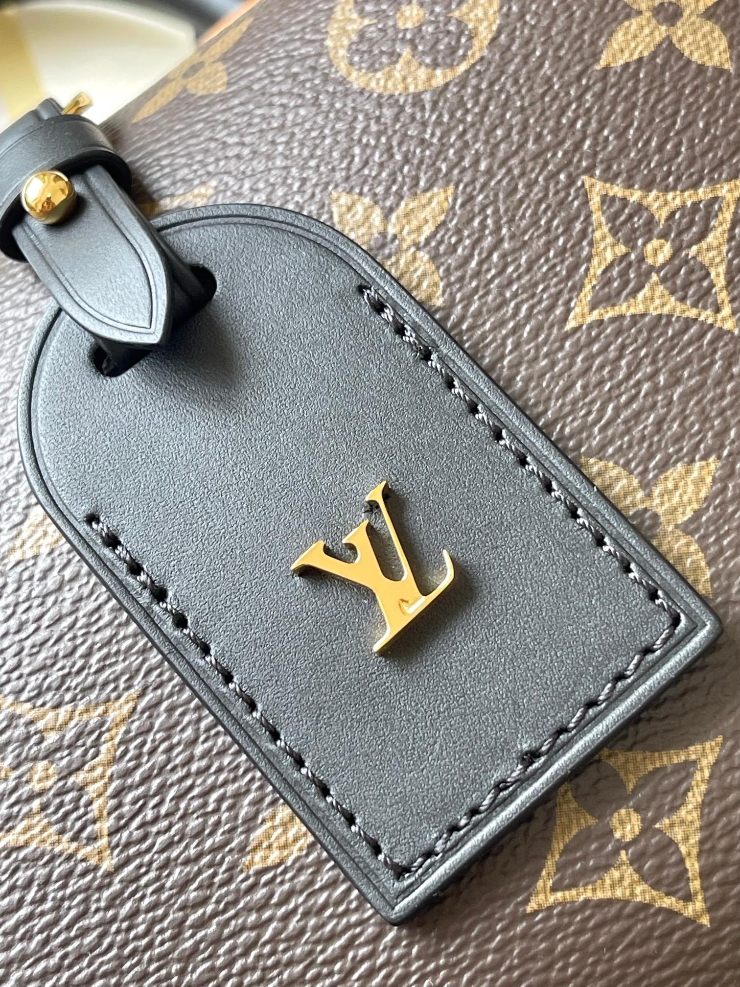 LV Petite Malle Souple M45571 20x14x7.5CM