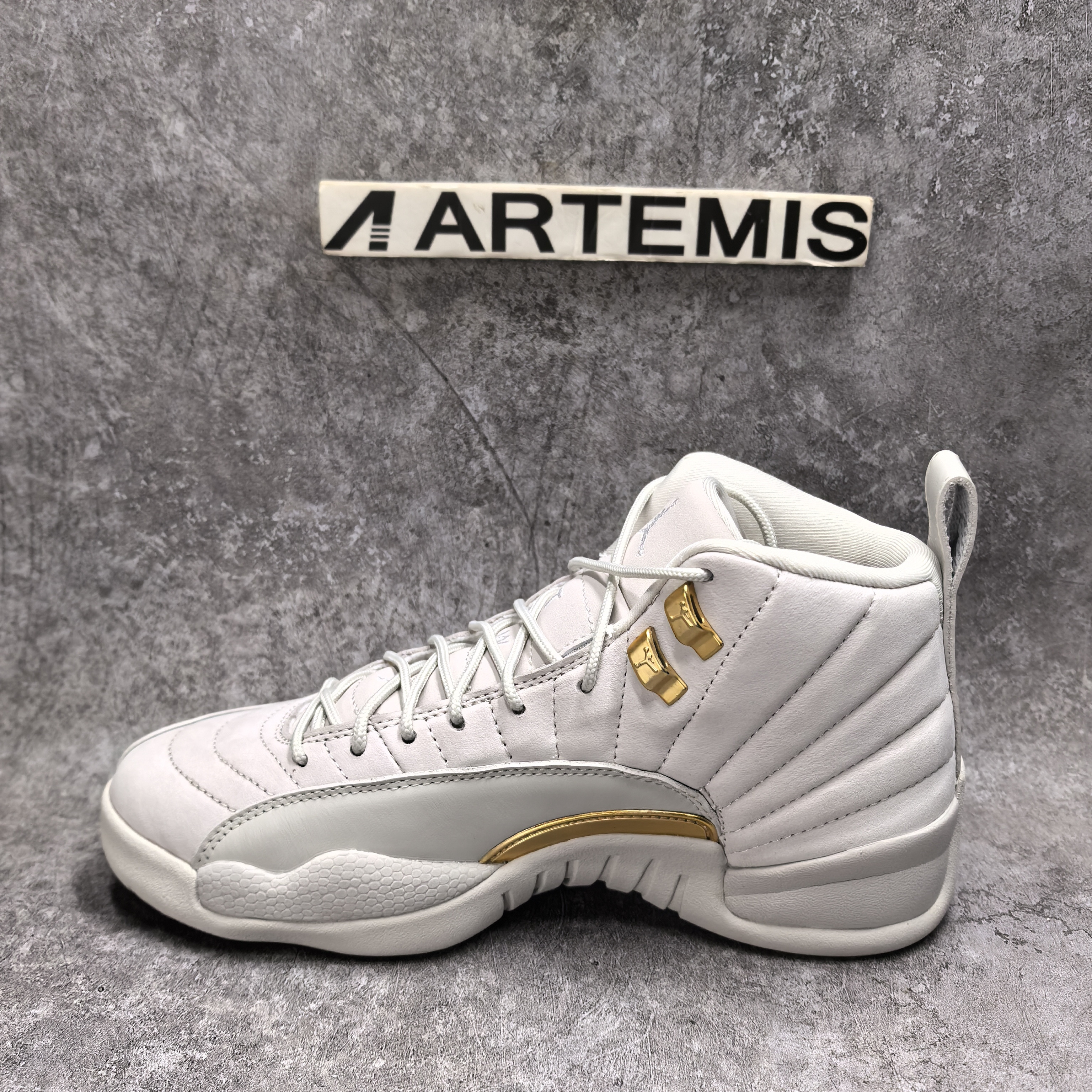 UA Jordan 12 Retro