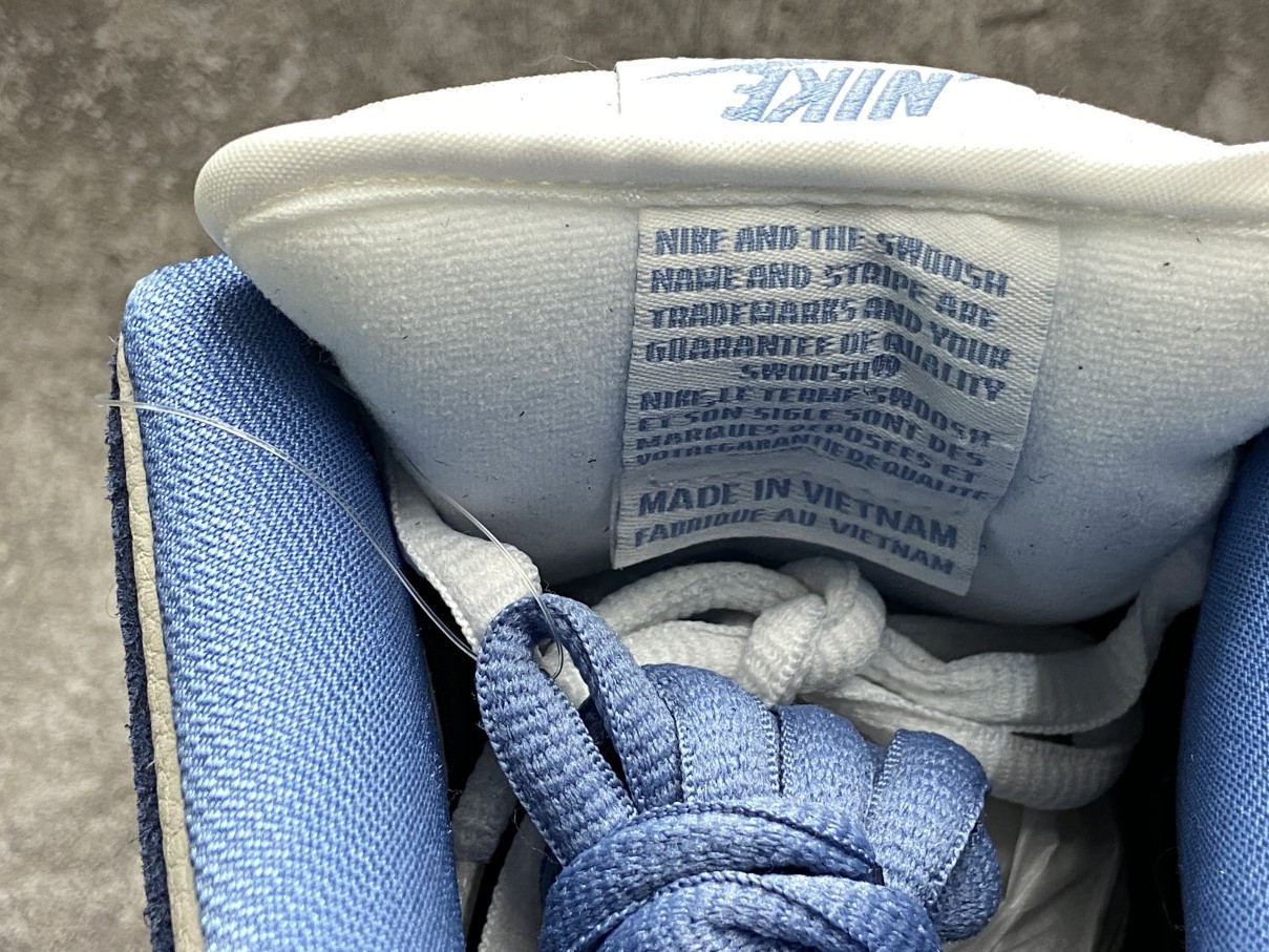 Nike Dunk SB Low FTC Finally