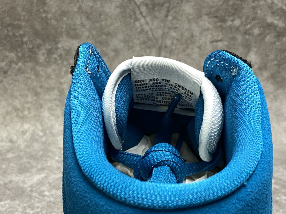 Nike Dunk SB High Send Help