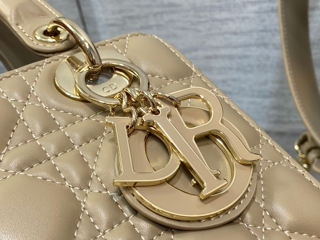 lady D*or bag 20x8x18cm