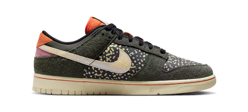 Nike Dunk Low Rainbow Trout