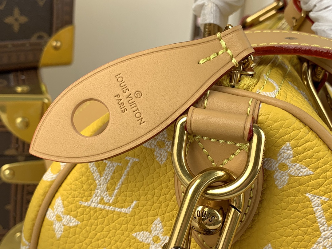 LV SPEEDY BANDOULIÈRE25 M24426