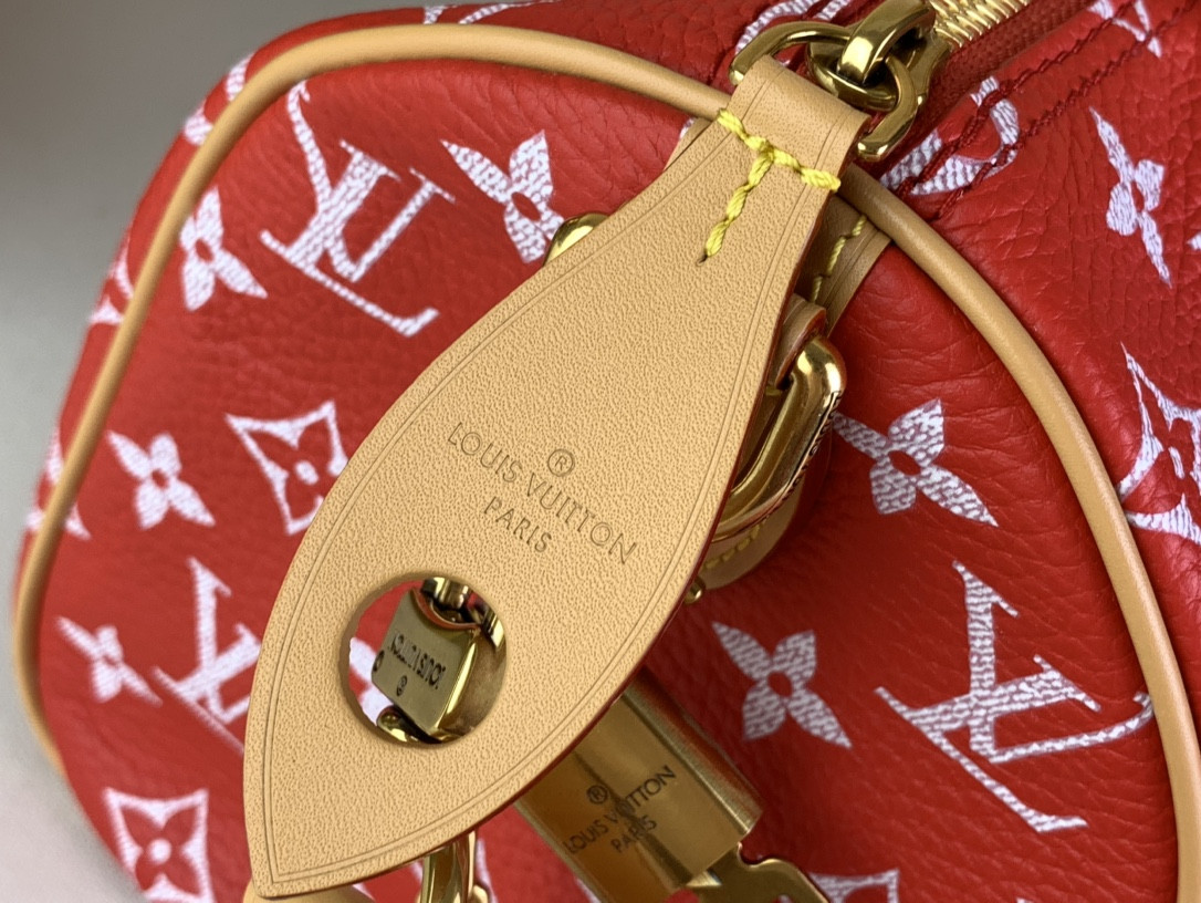 LV SPEEDY BANDOULIÈRE25 M24425