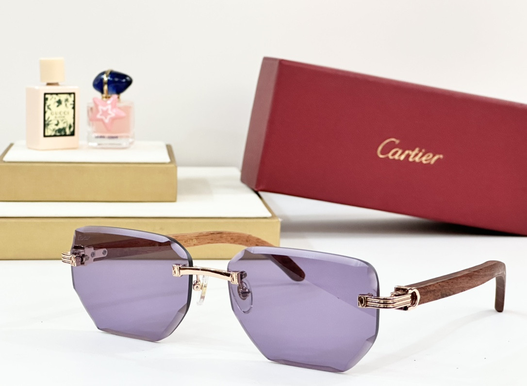 Ca*t*er glasses paris ct0620s