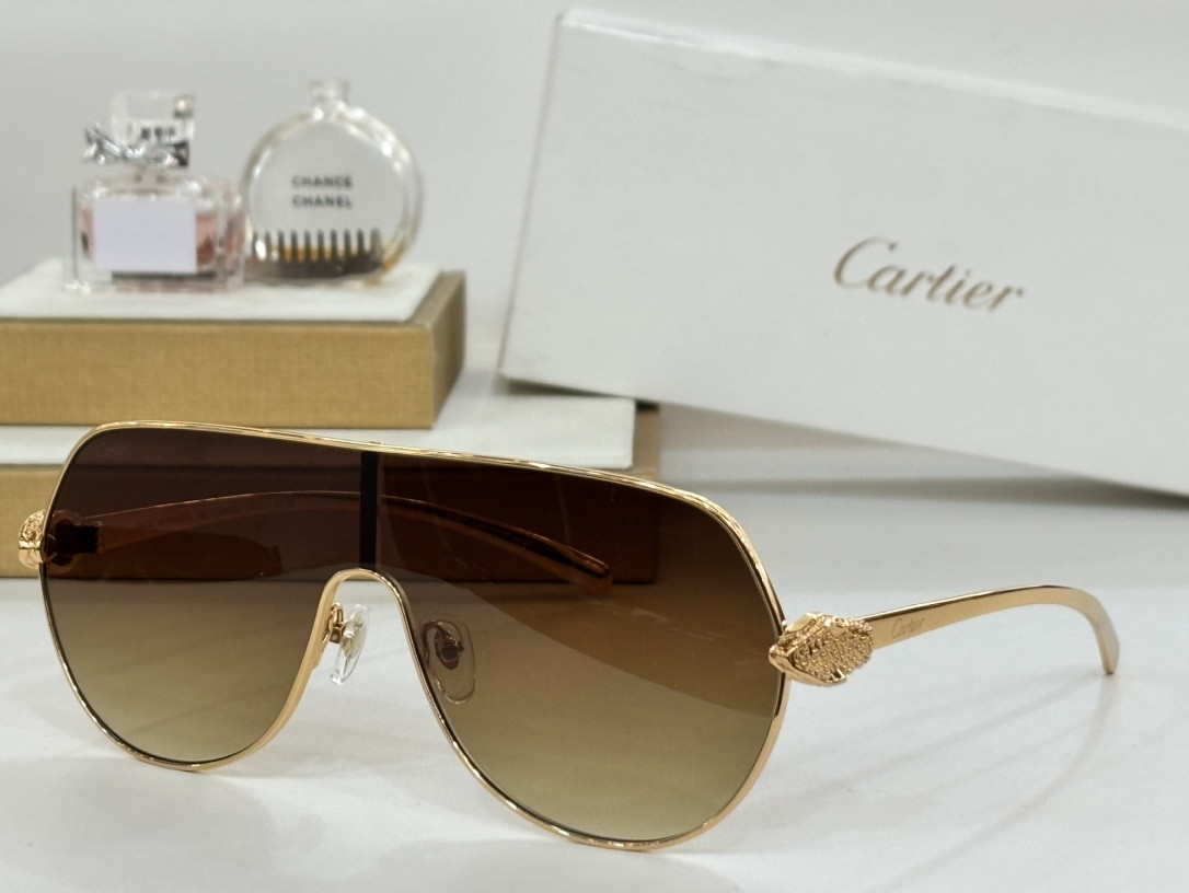 Ca*t*er glasses ct0643 135-0