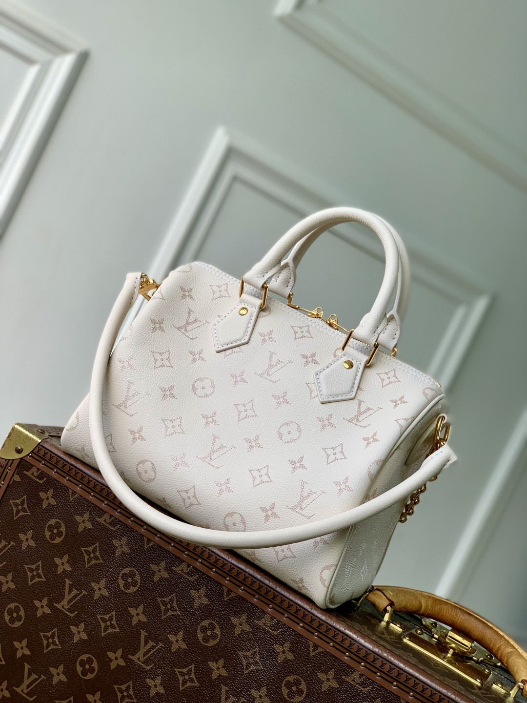 LV SPEEDY BANDOULIÈRE 25 Handbag M26690 18x13x25cm